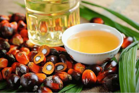 10 Things You Need To Know About Batana Oil